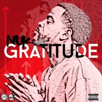 Gratitude - Single - Nuk