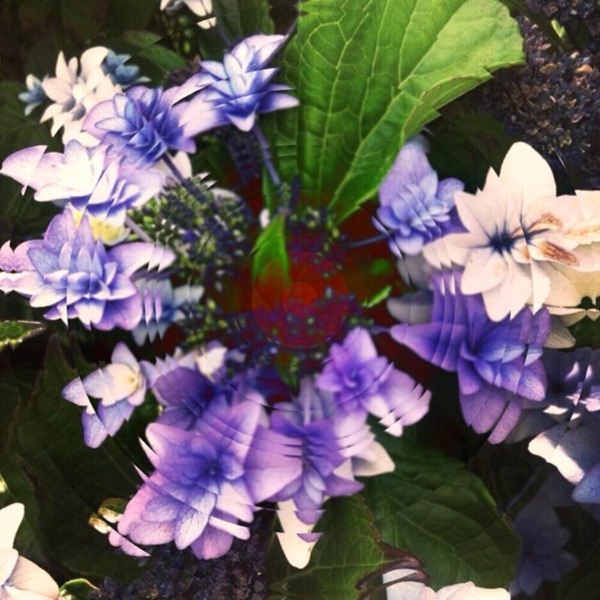 Flowers of Love