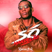 Só Mandelão (feat. Mc Gw) - Single - DJ Carlinhos da S.R
