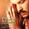 Pepe Aguilar - El Precio