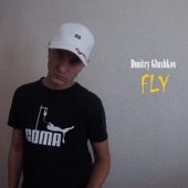 Fly artwork