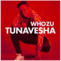 Tunavesha (feat. S2kizzy) - Single - Whozu