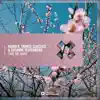 Till The Sky Falls Down (Extended Mix)