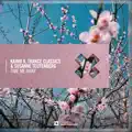 Till The Sky Falls Down (Extended Mix)