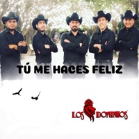 Tú Me Haces Feliz - Single - Los Dominios
