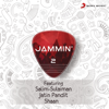 Jammin', 2 - Various Artists