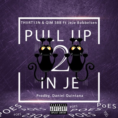 Pull Up in Je Poes 2 (feat. Jeje Bobbelsen) - Single