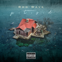 Rod Wave - PTSD artwork