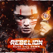 Dusk Till Dawn (feat. Ava Silver) artwork