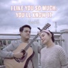 I Like You so Much, You’ll Know It - Single