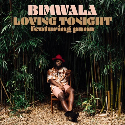 Loving Tonight (feat. Pana) - Single