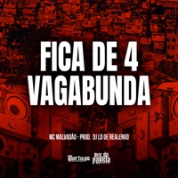 Fica de 4 Vagabunda - Single - Mc Malvadão & Dj LD de Realengo