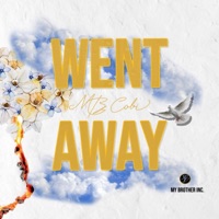 Went Away - Single - Mb Cobi