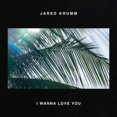 I Wanna Love You - Single