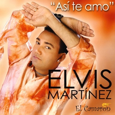 Lleva Vida - Elvis Martinez El Camarón | Shazam