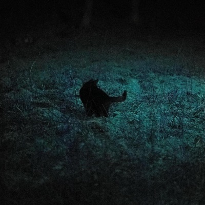 Star (feat. Purgatory Prince) - EP