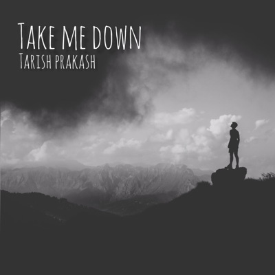 Take Me Down - Single