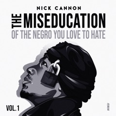 The Miseducation of the Negro You Love to Hate