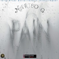Pain - Single - Narieo G
