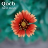 Qoch - Single