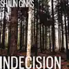 Shaun Ginks - Indecision