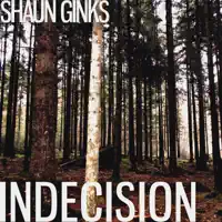 Indecision — Shaun Ginks