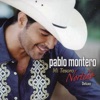 Pablo Montero - Me Llega, Me Llega