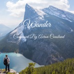 Wander