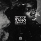 Blixky Gang Freestyle artwork