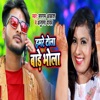 Hamre Tola Baade Bhola - Single