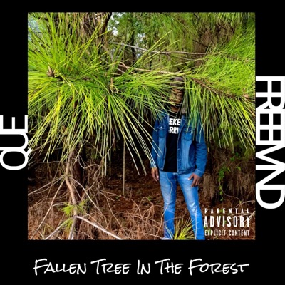Fallen Tree in the Forest - Single