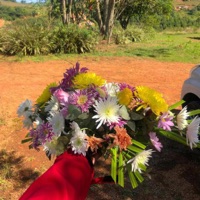 Dear Lil Mamie (feat. Dagger the Badger) - Single - Jason grey