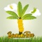 Banana Tree (feat. Rhaurhee Rein) - Jungle lyrics