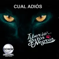 Cual Adiós — Tiberio Y Sus Gatos Negros