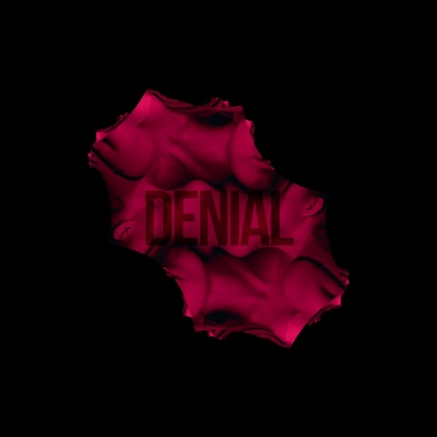 Denial (feat. Vishal Kanwar & Genius Mistakes) - Single