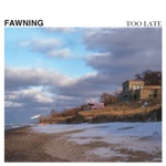 Fawning - Too Late