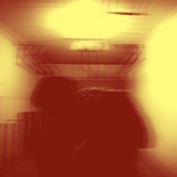 Wrong - Single - Austin Salter