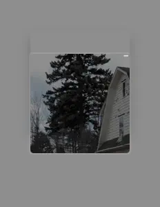 聆聽 Bones、觀看音樂影片、閱讀小傳、查看巡演日期等！