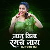 Janu Vina Rangach Naay (DJ Remix) - Single