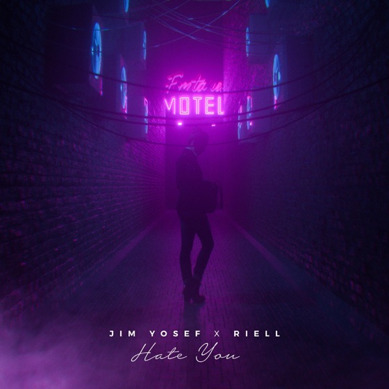 Cover artwork for Hate You