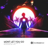 Won't Let You Go (feat. Hsiao Yo) artwork