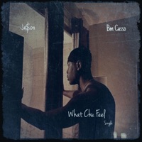 What Chu Feel (feat. Bm Casso) - Single - Ja$on