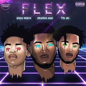 Flex artwork