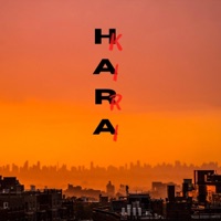 Hara Kiri (feat. CBG & MG) - Single - KO Record