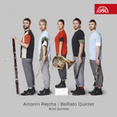 Rejcha: Wind Quintets artwork