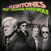 The Fleshtones - Spilling Blood (At the Rock & Roll Show)