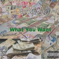What You Want - Single - Senaa
