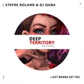 I Just Wanna Get You artwork