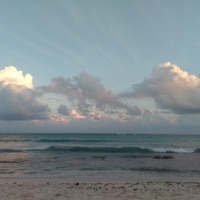 Illusions - Single - Alexandre Molodkov