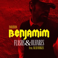 Flashs e Olhares (feat. Wlad Borges) - Single - Anderson Benjamim